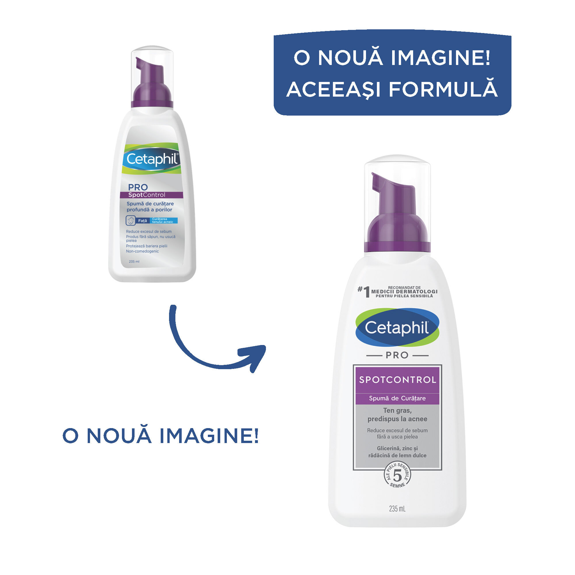 PRO SpotControl Spumă de Curățare