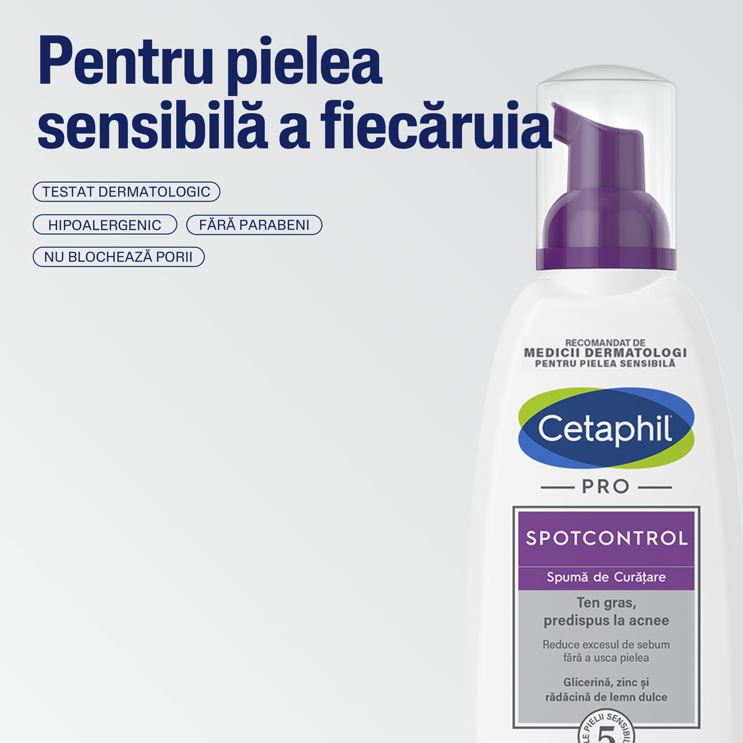 PRO SpotControl Spumă de Curățare