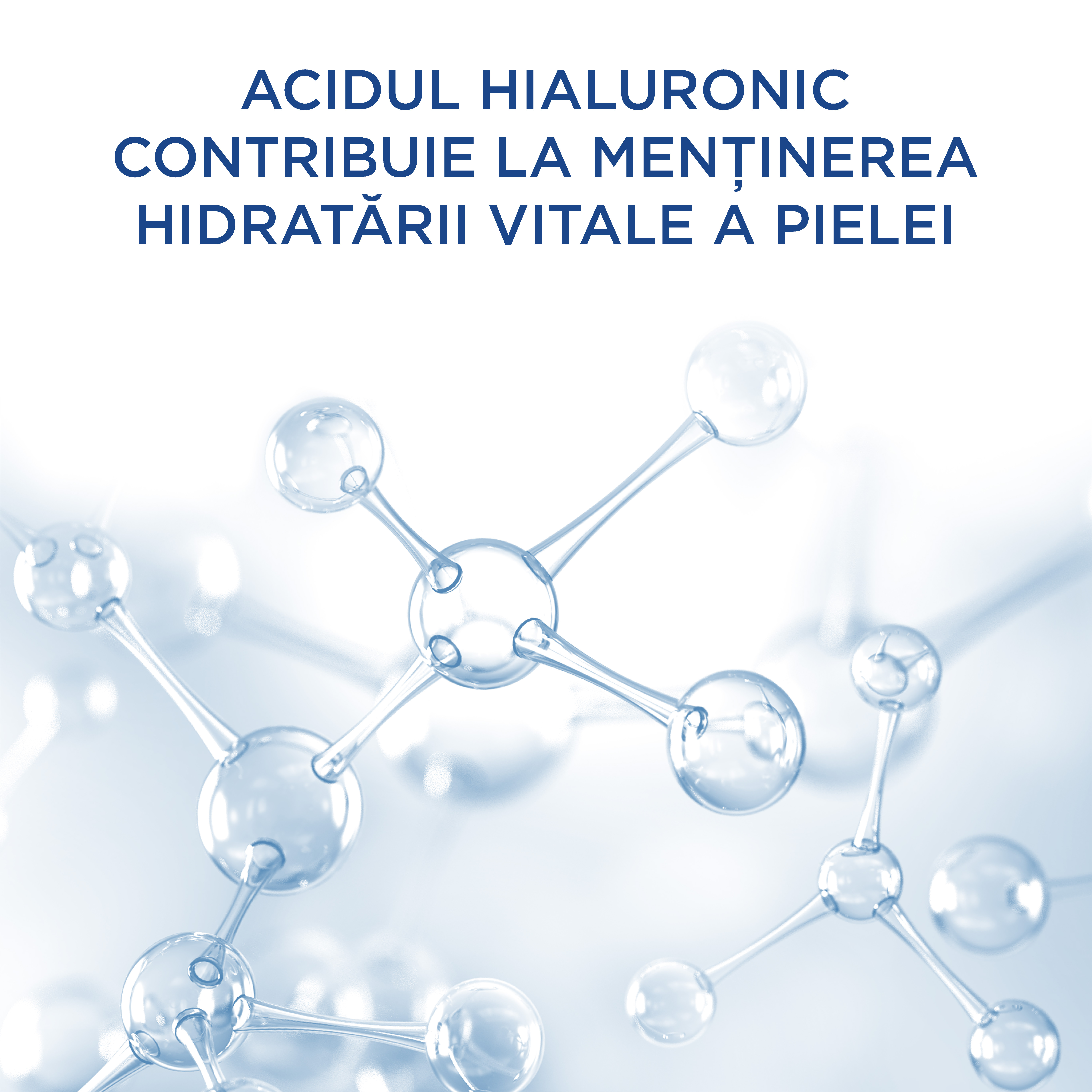 Loțiune Hidratantă de Zi Ingredients