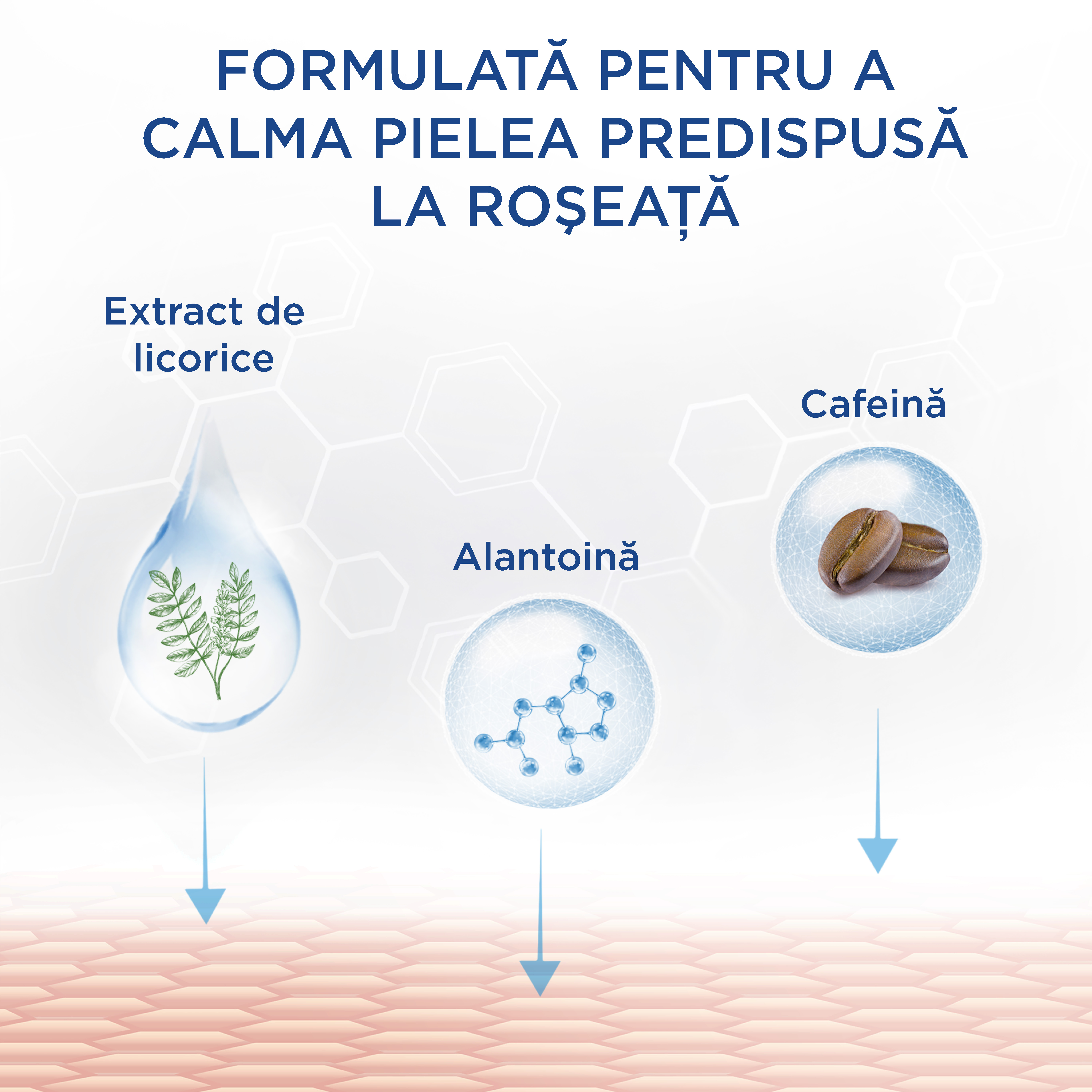 Pro RednessControl Spumă de Curățare 
                    Ingredients