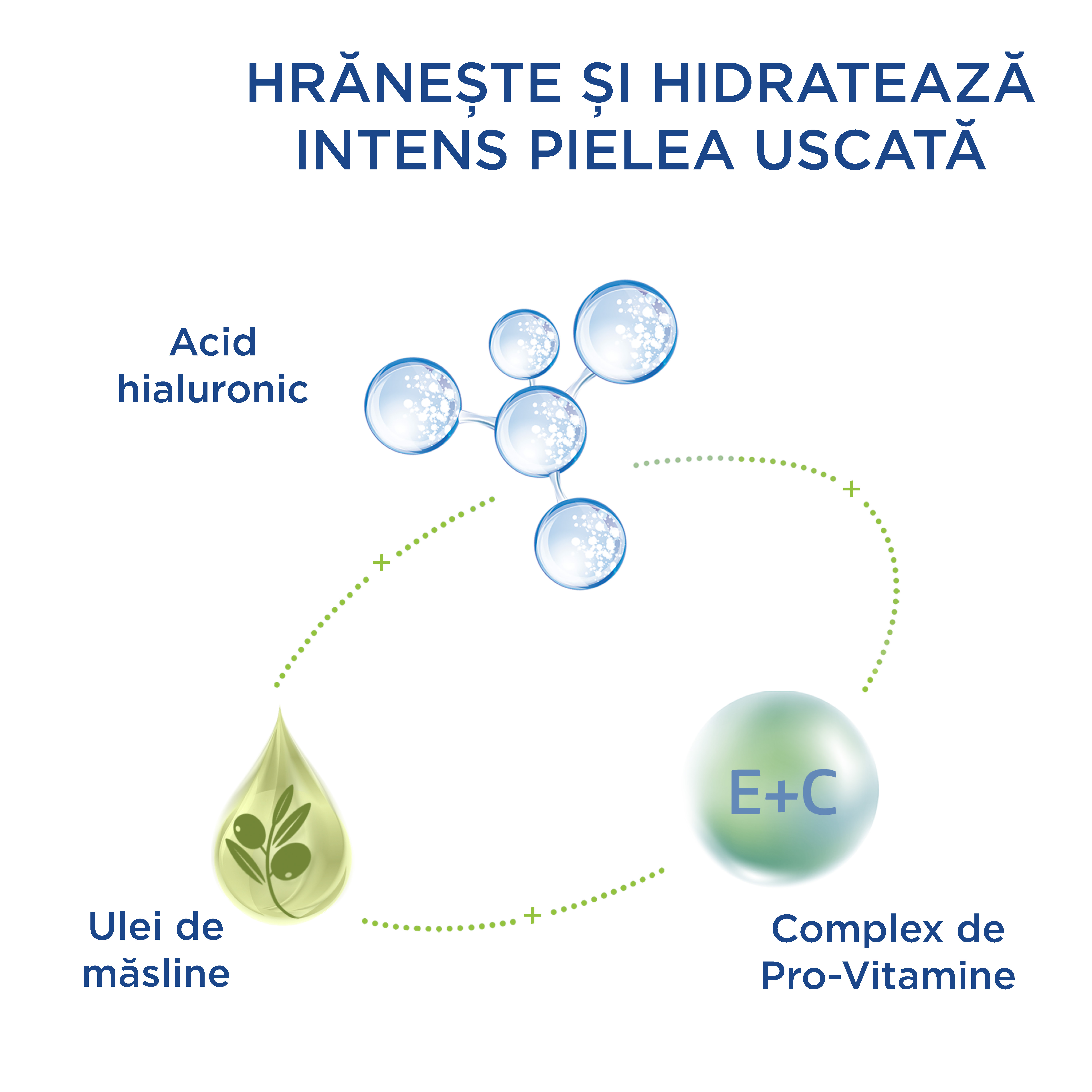 Cremă Hidratantă de Noapte 
                    Ingredients
